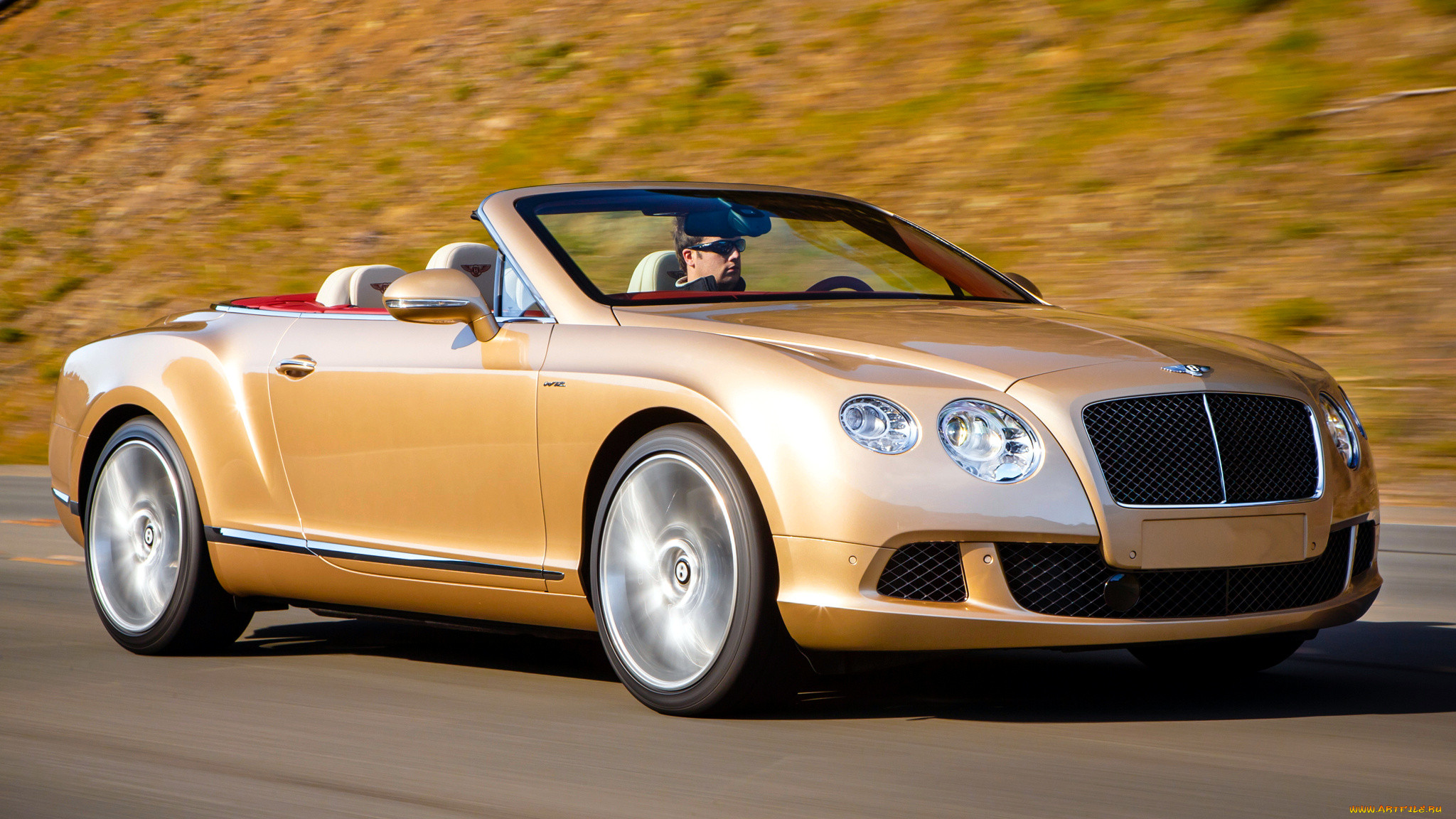 bentley, continental, , -, , , motors